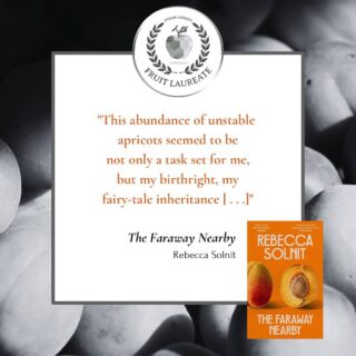 🔸🧡🟠📙🏵️🍑🧶
.
.
.
.
.
.
#rebeccasolnit #quoteoftheday #fruitlaureate #apricot